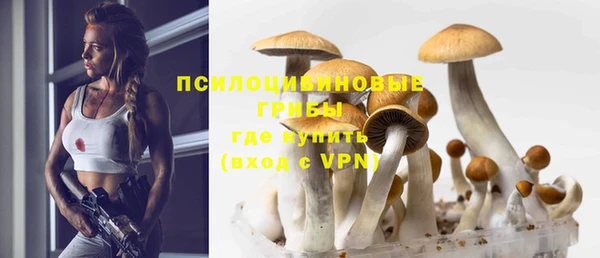 метамфетамин Белокуриха